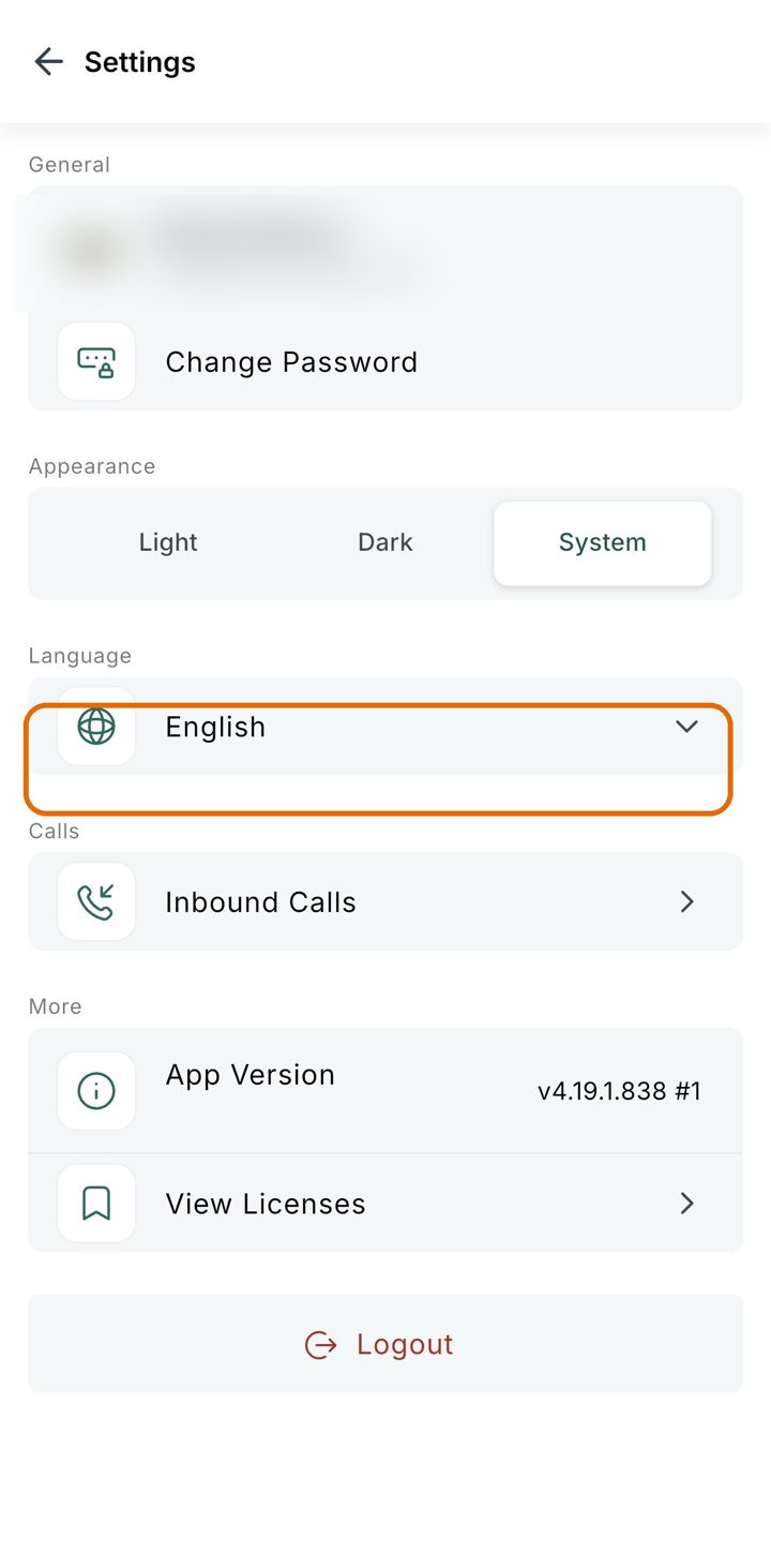 The Settings screen with the Language option marked